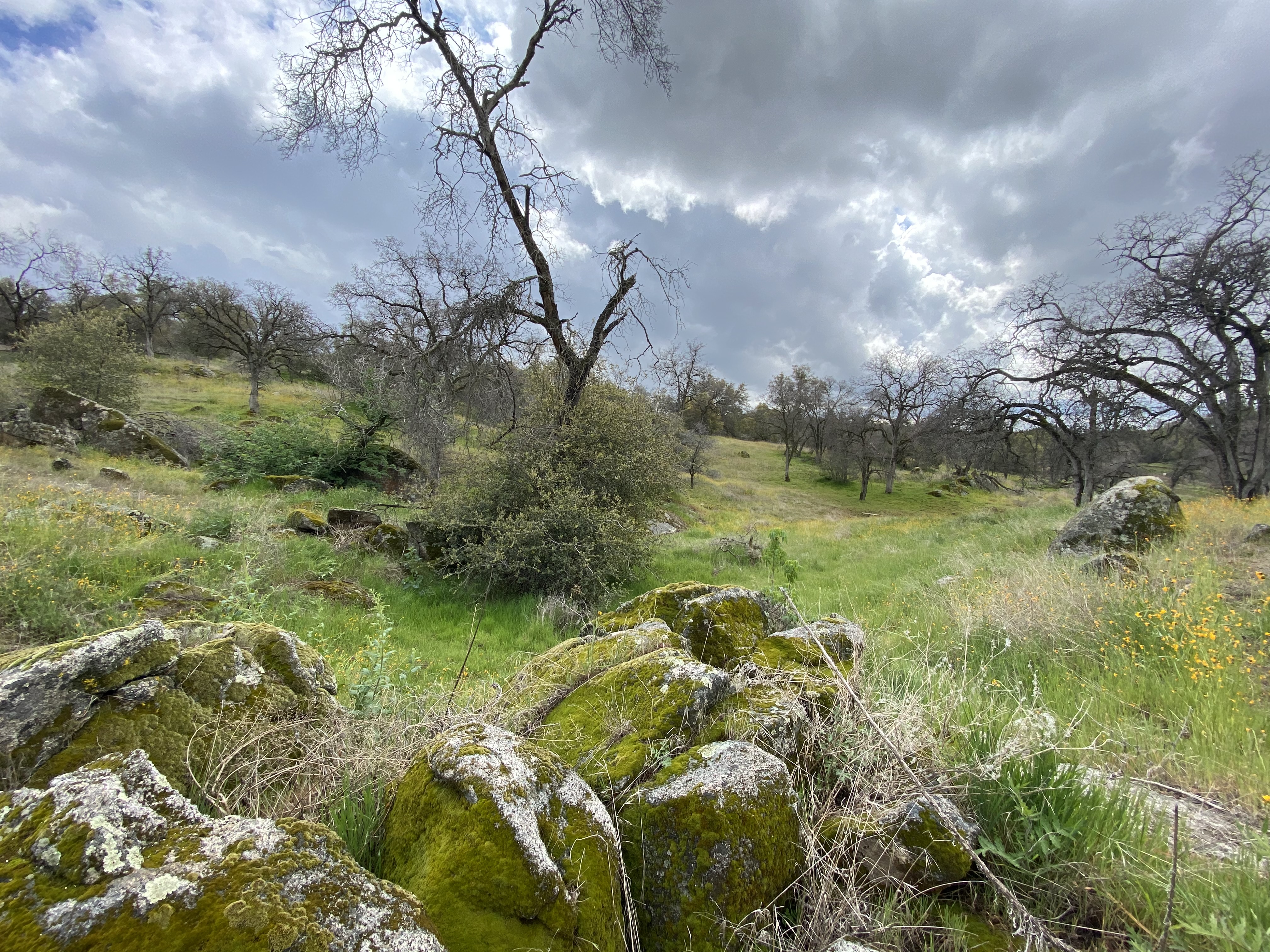 View of Raymond, California