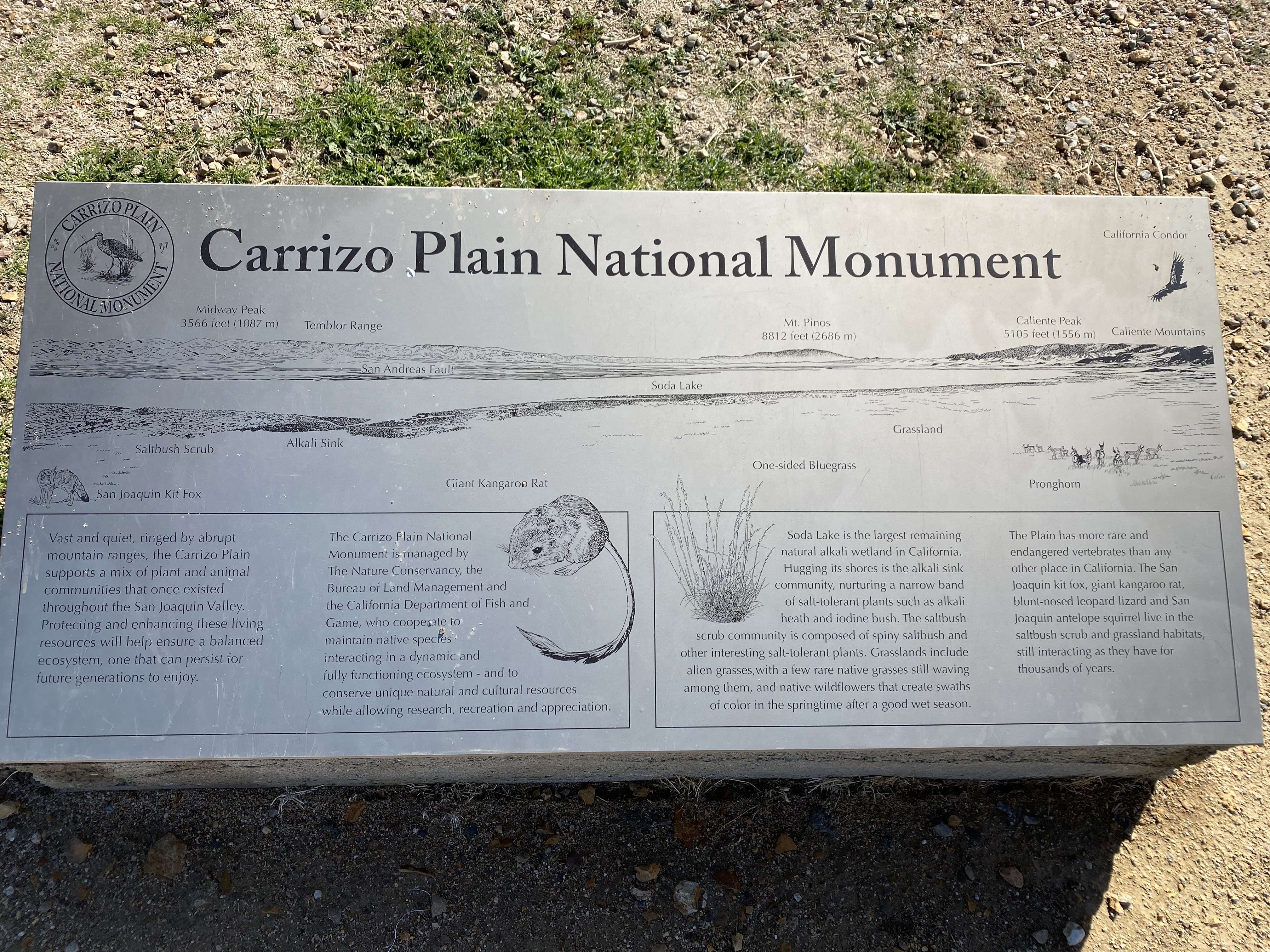Carrizo Plain National Monument