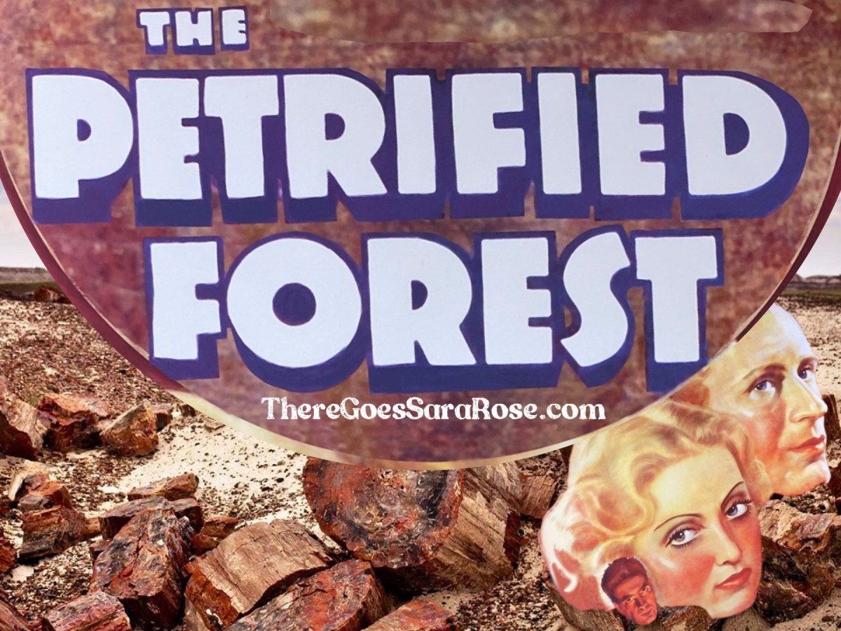 Petrified Forest National Park, Arizona || There Goes Sara&nbsp;Rose