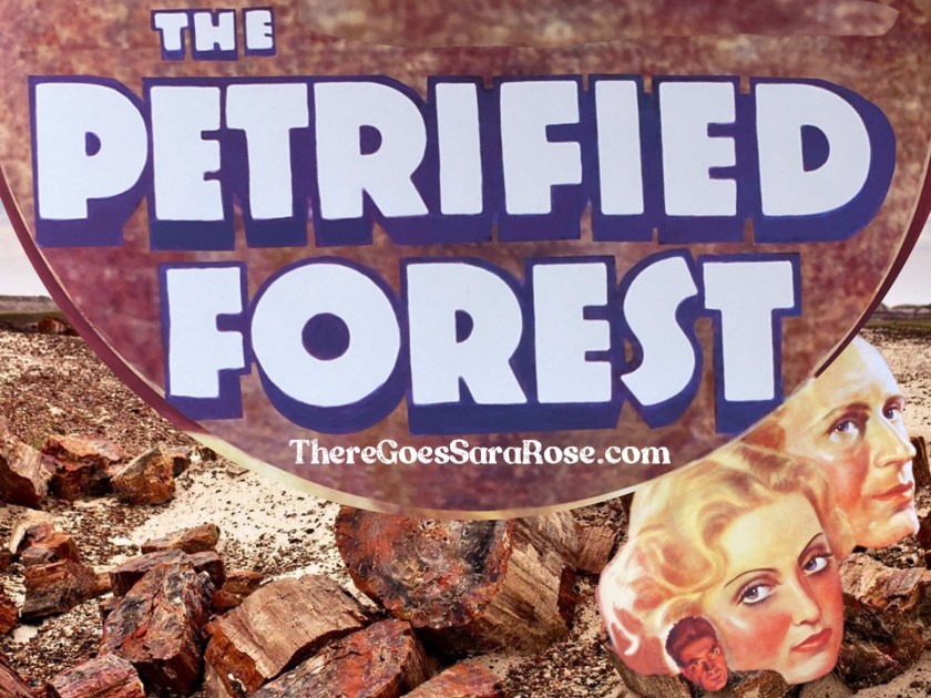 Petrified Forest National Park, Arizona || There Goes Sara&nbsp;Rose