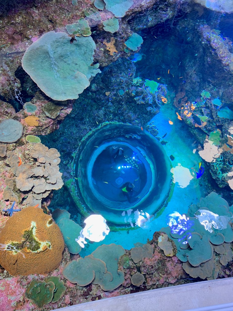 California Academy of Sciences | San Francisco Golden Gate&nbsp;Park