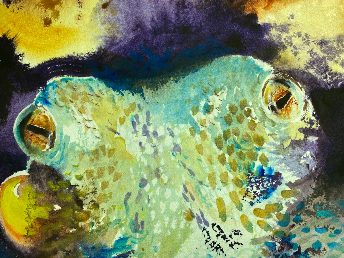 A 4K Introduction to Watercolor | “Octopoda” by Sara&nbsp;Rose