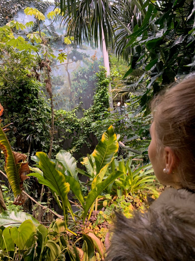 Osher Rainforest, California Academy of Sciences