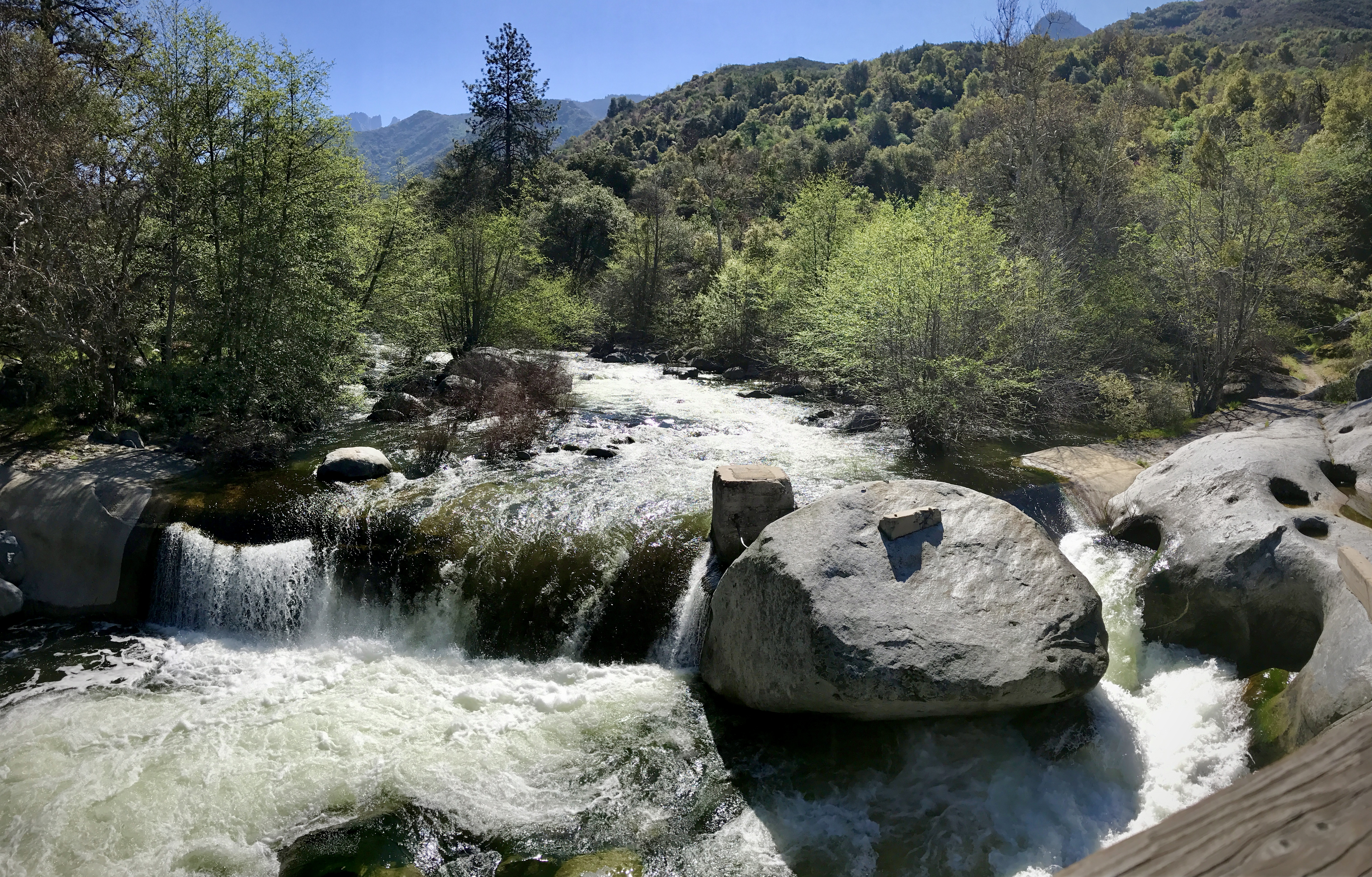 Three Rivers, Sequoia National Park, CA. (Photo Credit: Sara Rose 2017)