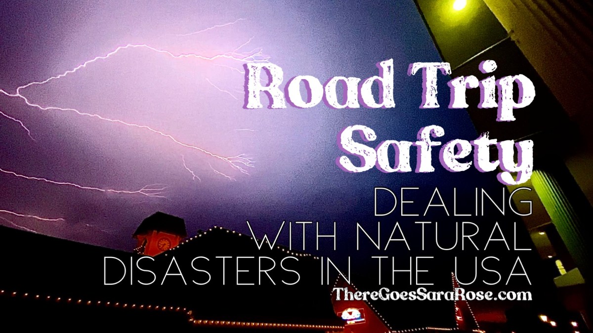 Road Trip Safety Cover (Photo Credit: Sara Rose 2021)