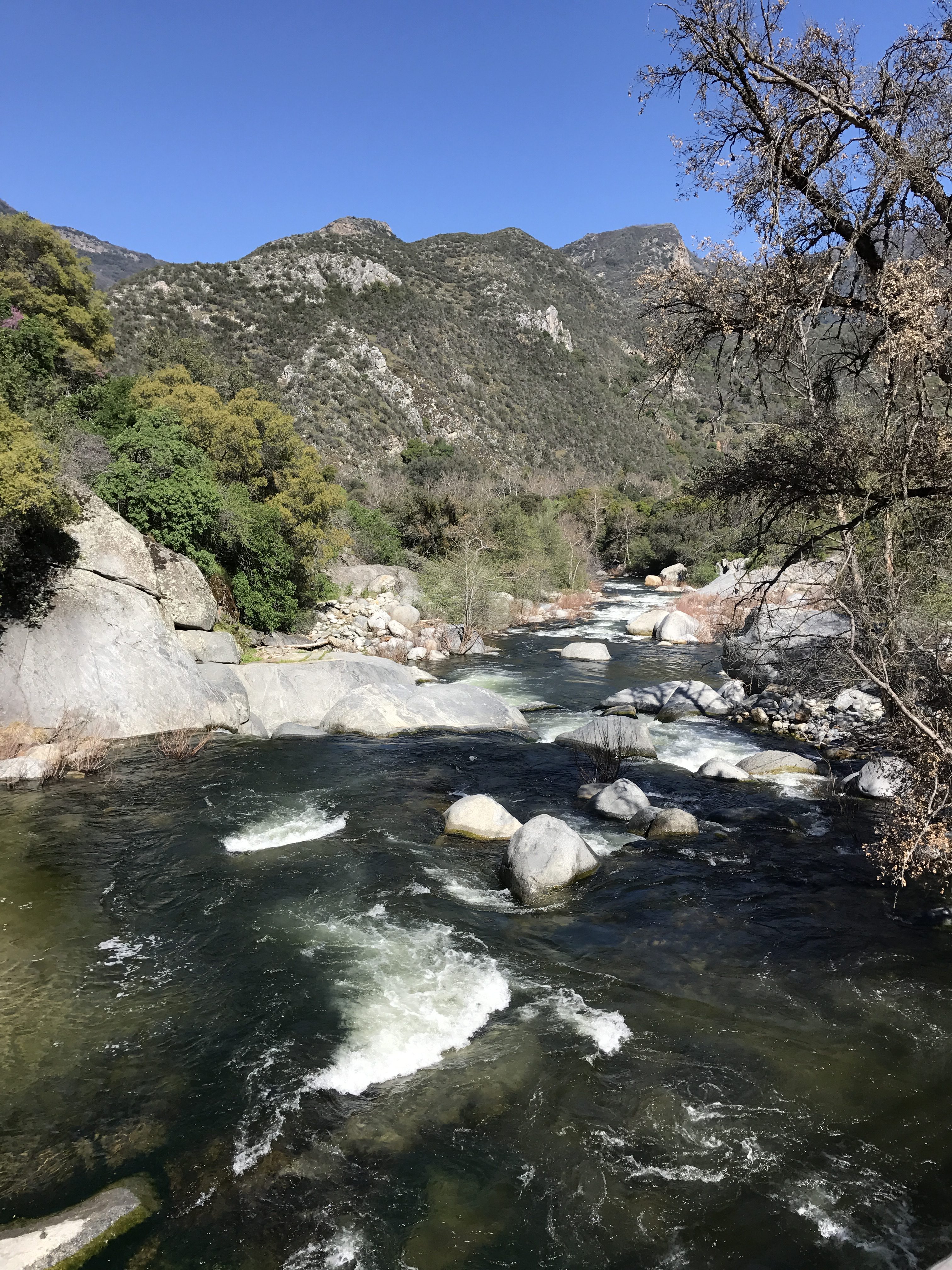 Three Rivers, Sequoia National Park, CA. (Photo Credit: Sara Rose 2017)