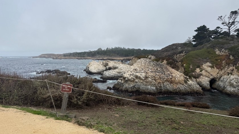 Bird island Trail, Point Lobos State Reserve.