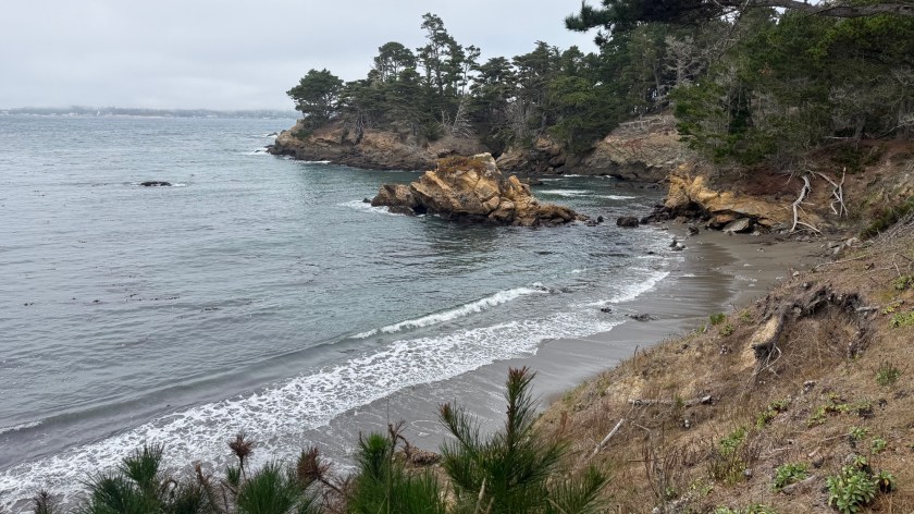 Granite Point Beach, Point Lobos State Reserve. 