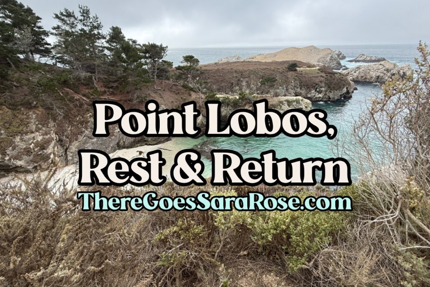 Point Lobos, Pauses, and the Power of Creative Return || ThereGoesSaraRose.com