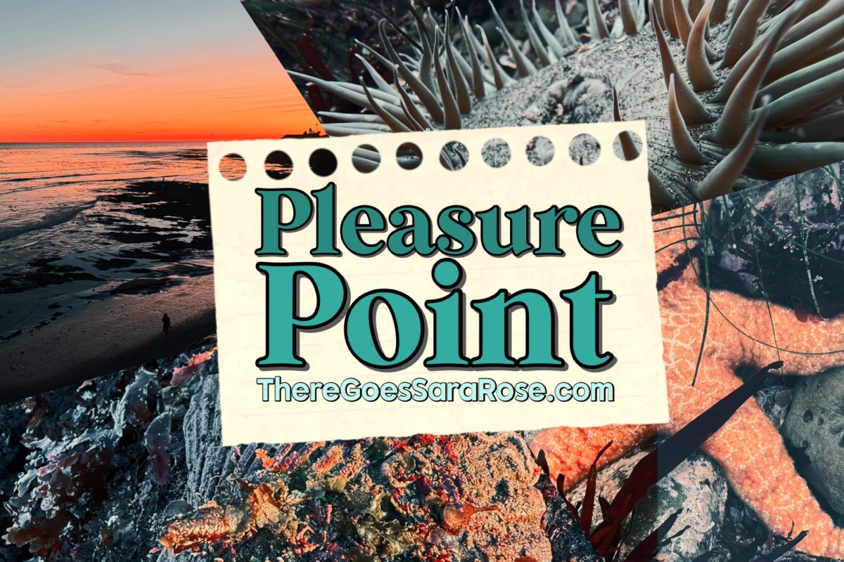 When the Ocean Pulls Back: Experiencing Santa Cruz’s King Tide Low at Pleasure Point || ThereGoesSaraRose.com