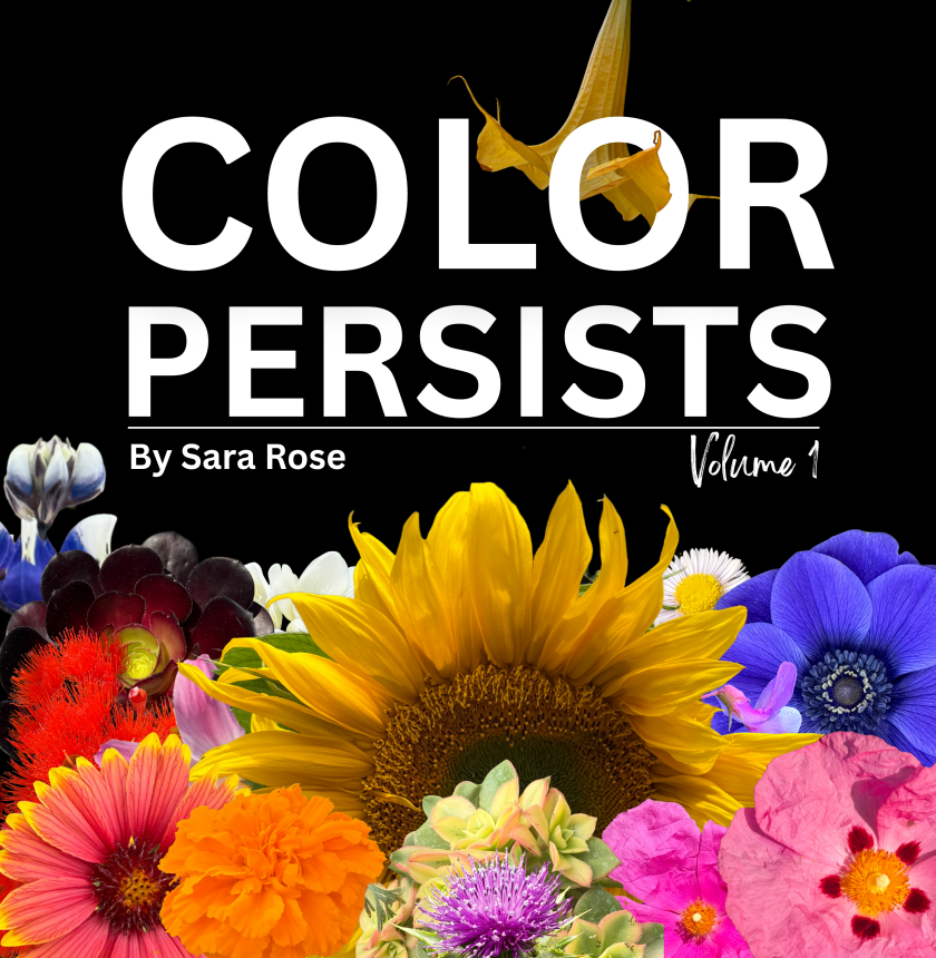 COLOR PERSISTS: Volume 1 by Sara Rose, COVER.