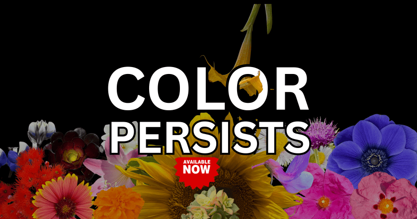 Out Now! Color Persists: Volume 1 || ThereGoesSaraRose.com